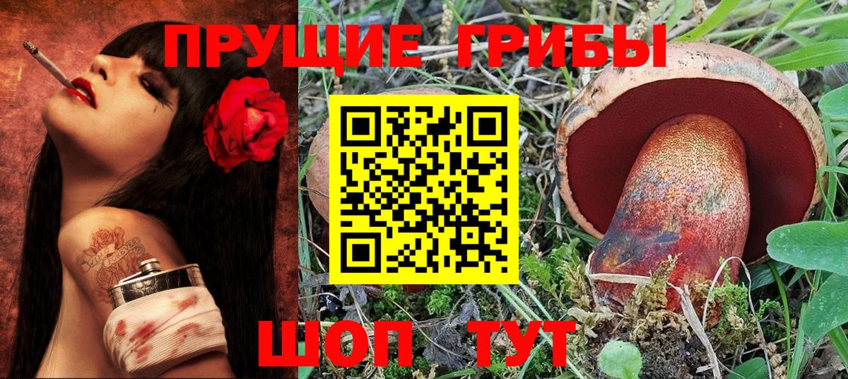 Галлюциногенные грибы Psilocybe Набережные Челны